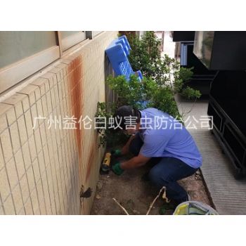 南村投放灭鼠装置工程