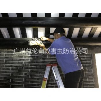 洛浦祠堂杀灭白蚁工程
