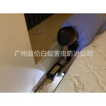 新造家居白蚁灭治工程
