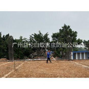 石壁地基新建预防白蚁工程