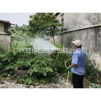 钟村社区消灭蚊子工程
