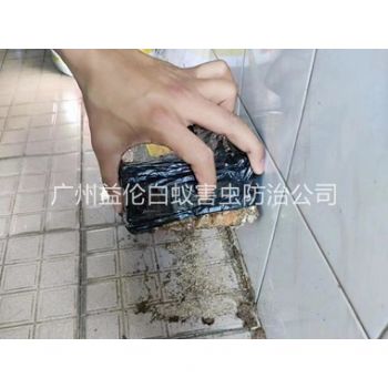 石碁诱杀白蚁危害工程