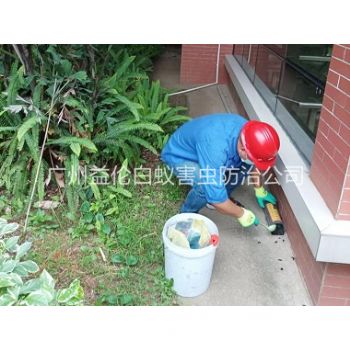 钟村施药灭鼠工程