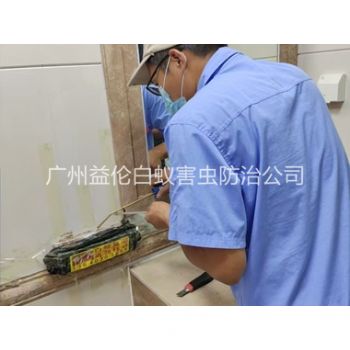 石碁诱杀箱施药灭杀白蚁工程