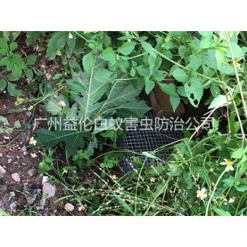 大石住宅区处理蛇患工程