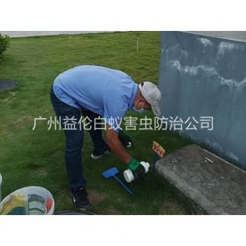 新造灭除红火蚁工程