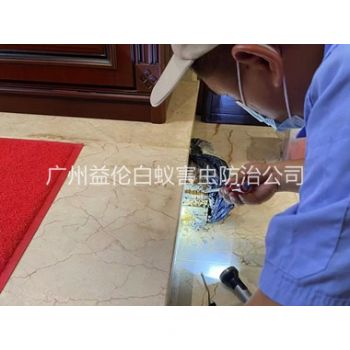 市桥安装诱杀箱监测白蚁工程